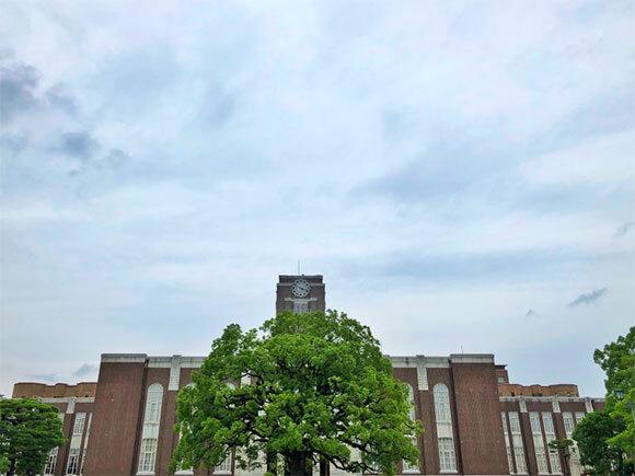 第36回日本小児肝臓研究会